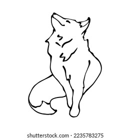 Linear sketch of a wild forest animal fox.Vector graphics.