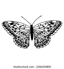 Linear sketch of a winged insect, butterfly.Vector graphics.