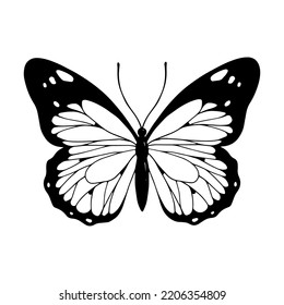 Esbozo lineal de un insecto alado, mariposa.Gráficos vectores.