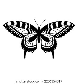 Linear sketch of a winged insect, butterfly.Vector graphics.
