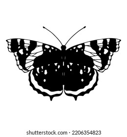 Linear sketch of a winged insect, butterfly.Vector graphics.