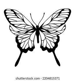 Linear sketch, winged insect doodle, butterflies.Vector graphics.