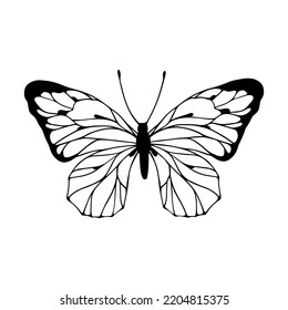 Linear sketch, winged insect doodle, butterflies.Vector graphics.