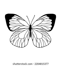 Esbozo lineal, doodle de insectos alados, mariposas.Gráficos vectores.
