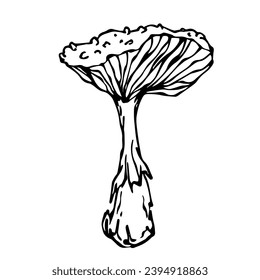 Linear sketch,doodle of forest mushroom fly agaric.Vector decorative element.