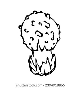 Linear sketch,doodle of forest mushroom fly agaric.Vector decorative element.