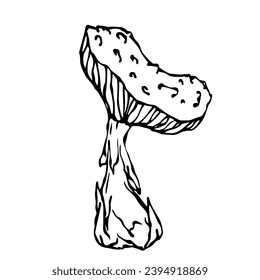 Linear sketch,doodle of forest mushroom fly agaric.Vector decorative element.