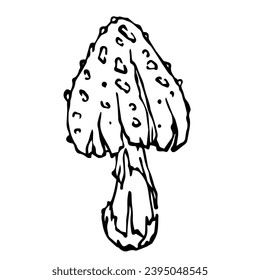 Esbozo lineal, doodle de la mosca de la seta del bosque, elemento decorativo del vector.