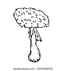 Linear sketch,doodle of forest mushroom fly agaric.Vector decorative element.