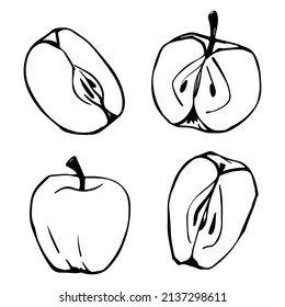 Esbozos lineales de cortes de manzana.Gráficos vectoriales.