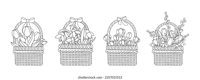 Linear sketches, coloring pages of spring flowers tulip, willow, snowdrop in wicker baskets. Vector graphics.