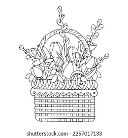 Lineare Skizzen, Farbseiten von Frühlingsblumen Tulpe, Weide, Schneeabwurf in Korbkörben. Vektorgrafiken.