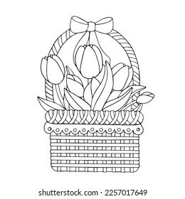 Linear sketches, coloring pages of spring tulip flowers in a wicker basket.Vector graphics.