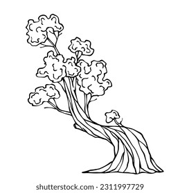 Linear sketches, coloring of various trees. Vector graphics.