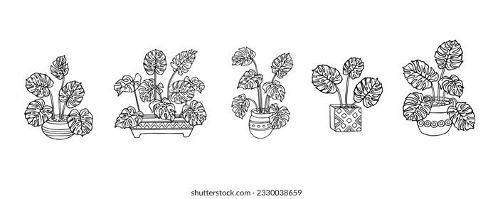 Esbozos lineales de monstera en macetas de flores.Gráficos vectoriales.