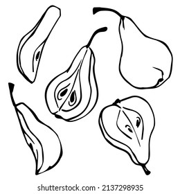 Linear sketches of pear slices.Line drawings of fruits.Vector graphics.