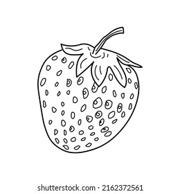 Fresas lineales. vector de bayas dibujadas a mano. fresas lineales aisladas sobre fondo blanco. 