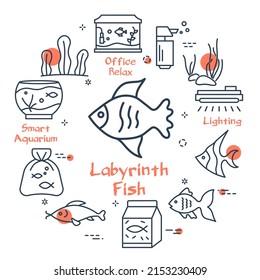 Linear style of aquarium fish and supplies