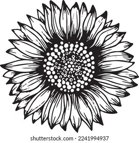 Linear sunflower flower. Hand drawn illustration. This art is perfect for invitation cards, spring and summer decor, greeting cards, posters, scrapbooking, print, etc.