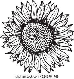 Lineare Sonnenblume. Handgezeichnete Illustration. Diese Kunst eignet sich hervorragend für Einladungskarten, Frühjahr- und Sommerdekor, Grußkarten, Poster, Scrapbooking, Print etc.