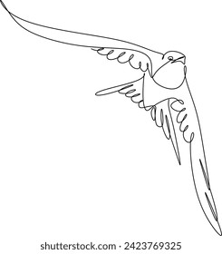 Linear swallow design. Continuous drawing of birds