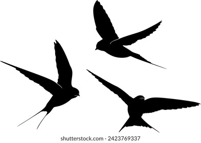 Linear swallow design. Continuous drawing of birds