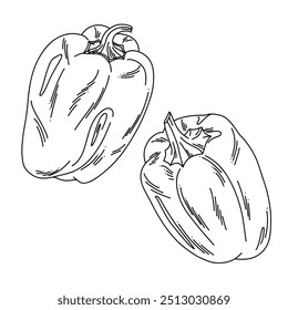 Coleta de golondrina de pimiento dulce lineal, ilustración de contorno de vegetal aislado sobre fondo blanco