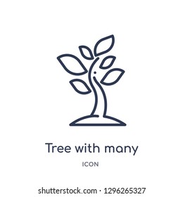 Linear tree with many leaves icon from Ecology outline collection. Thin line tree with many leaves icon vector isolated on white background. tree with many leaves trendy illustration