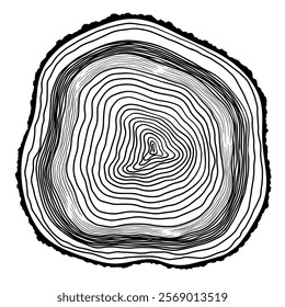 Linear tree rings texture. Tree stump print isolated on white background. Black and white wooden texture with concentric rings. Wood grain in cross section