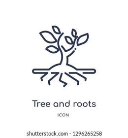 Linear Tree And Roots Icon From Ecology Outline Collection. Thin Line Tree And Roots Icon Vector Isolated On White Background. Tree And Roots Trendy Illustration