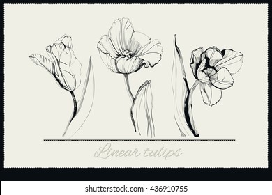 Linear tulips. Figure flowers at different angles. Flowers for a card. Vector illustration