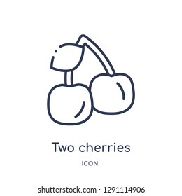 Linear two cherries icon from Bistro and restaurant outline collection. Thin line two cherries vector isolated on white background. two cherries trendy illustration