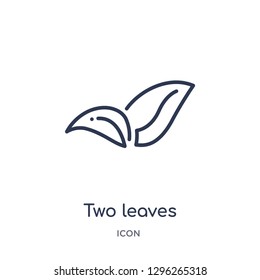 Linear two leaves icon from Ecology outline collection. Thin line two leaves icon vector isolated on white background. two leaves trendy illustration