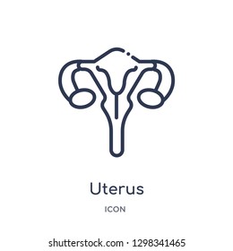 Linear uterus icon from Medical outline collection. Thin line uterus icon isolated on white background. uterus trendy illustration