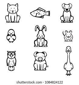the linear vector animal