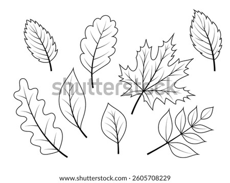Linear vector autumn leaves collection. Outline nature elements for coloring isolated on white