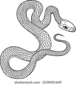 
Linear vector black drawing of writhing snake.