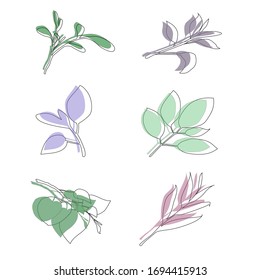 linear vector botanical collection. floral elements, vector plants. set for cards, invitations, logo, diy projects, prints and posters in line art. 