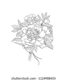 Linear vector bouquet of peony flowers. Black on white linear illustration