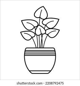 Linear vector cactus. Isolated outline picture of the houseplant on white