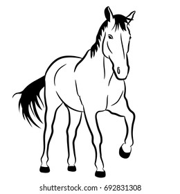 Linear vector drawing of a horse. Black and white horse outline.