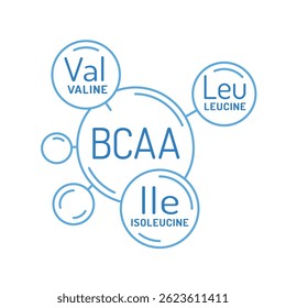 Linear vector icon of BCAA. Branched-chain amino acids symbol featuring leucine, isoleucine, and valine. Represents muscle recovery, energy boost, athletic performance. Editable vector illustration
