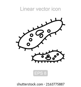 icono de vector lineal en forma de zapata infusoria