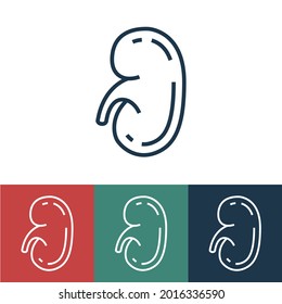 Linear vector icon with human kidney