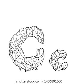 Linear vector letter "C"of leaves