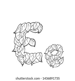 Linear vector letter "E" of leaves