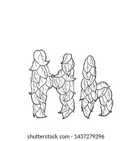 Linear vector letter "H" of leaves