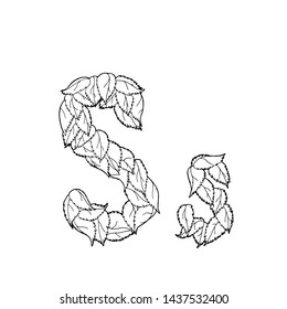 Linear vector letter "S" of leaves