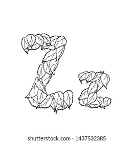 Linear vector letter "Z" of leaves