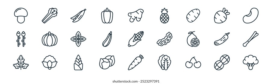 Vector de línea delgada de maní, apio, guisante, remolacha, calabacín, puerro, zanahoria, brócoli iconos adecuados para App y Sitios web UI diseños